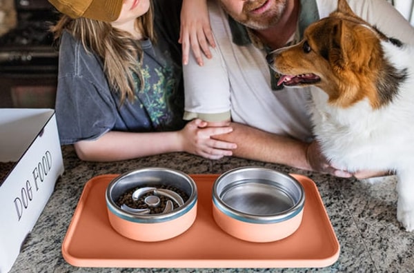Trot Pets Review