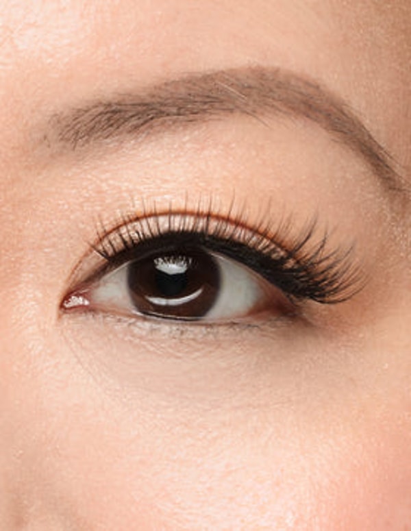 True Beauty Lashes Review