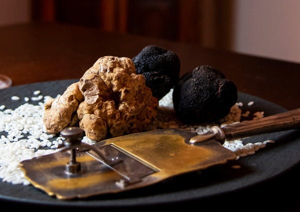 Truffle Guys Overview