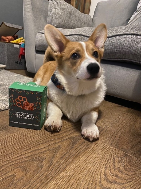 Tuff Pets Review
