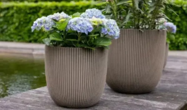 Over TuinCollectie