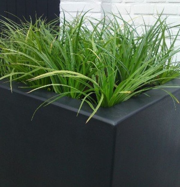 Tuinvoordeel Buxus polyester plantenbak Beoordeling