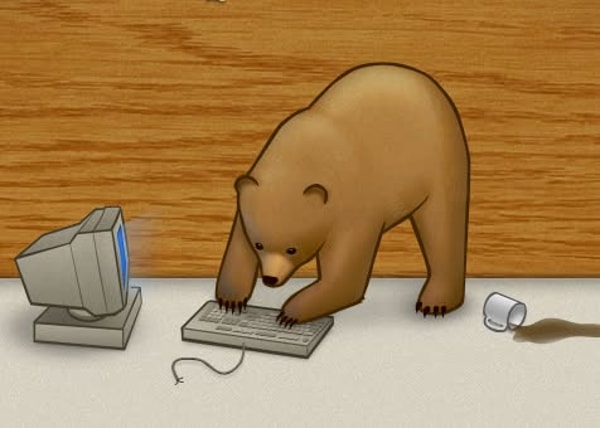 About TunnelBear