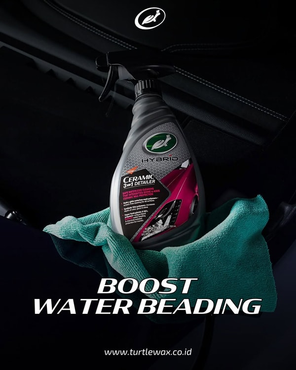 Overview of Turtle Wax