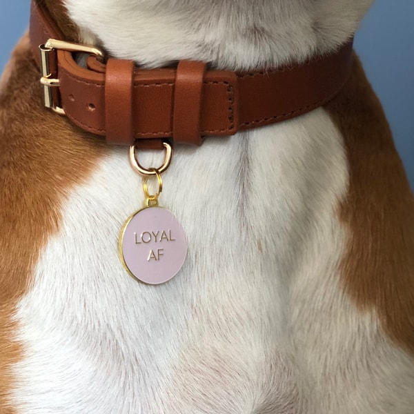 Two Tails Pet Company Review