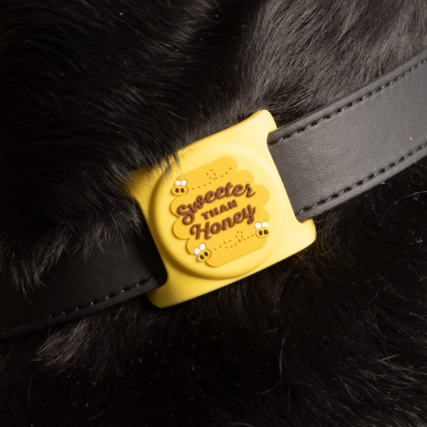 Two Tails Pet Company Sweeter than Honey Airtag Holder Review