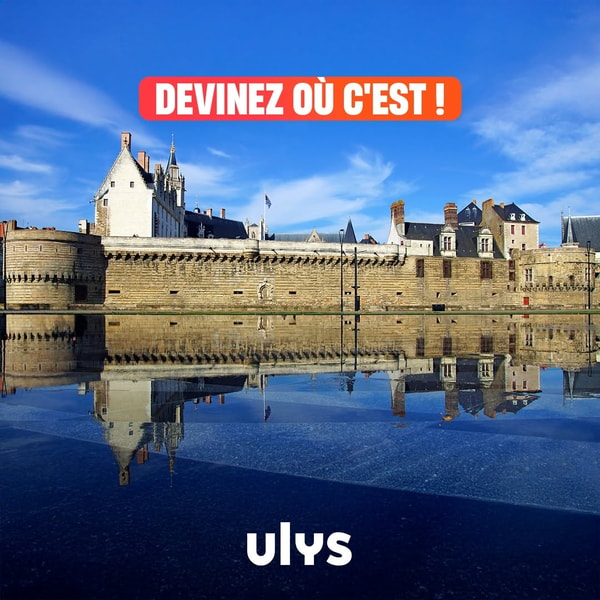 Ulys Avis