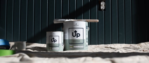 Overview of Up Paint