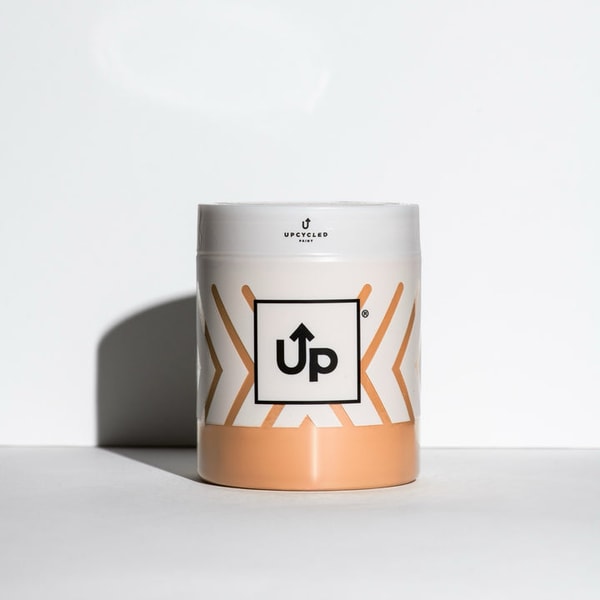 Up Paint Persimmon Festival Review