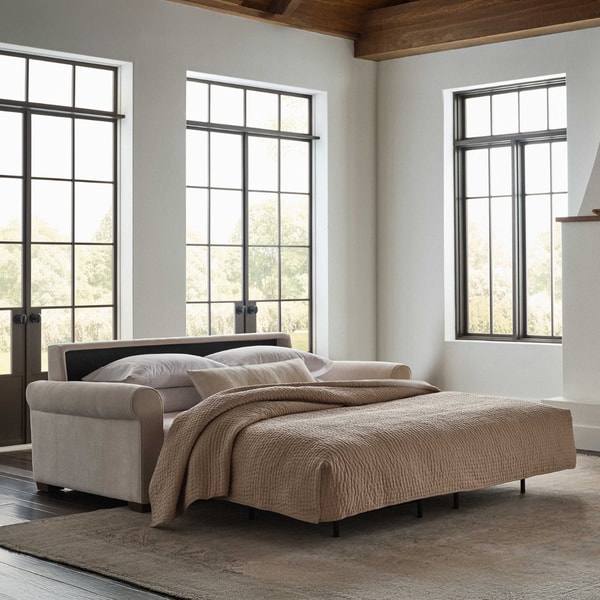 Urban Natural Home Gaines Comfort Sleeper Reviews