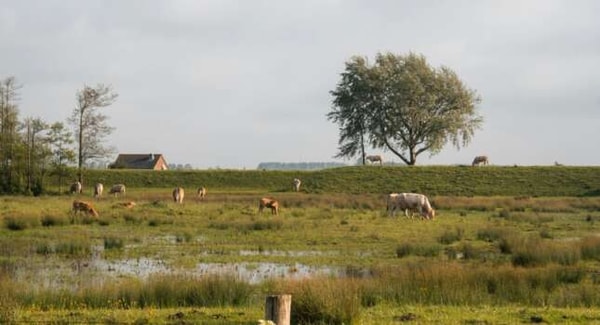 Vakantie Zeeland Ferienh&auml;user Bewertung