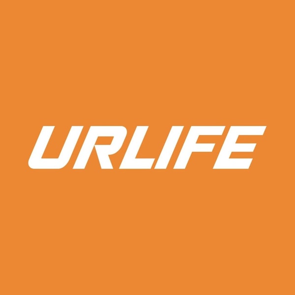 URLIFE eBike vs Engwe: Affordability vs Power