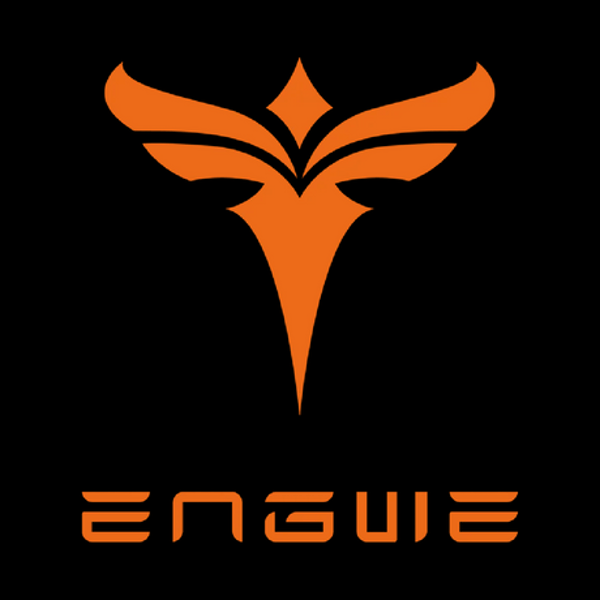 URLIFE eBike vs Engwe: Affordability vs Power