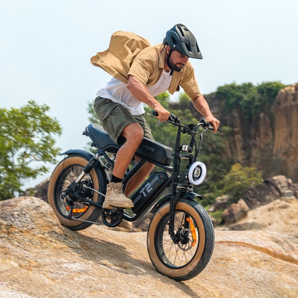 Why Choose URLIFE eBike?