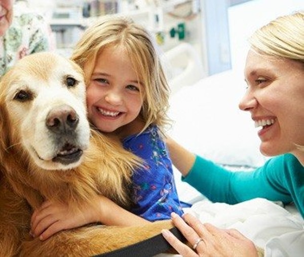 About US Service Animals