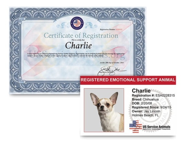 US Service Animals Review: US Service Animals Emotional Support Animal Registration Reviews