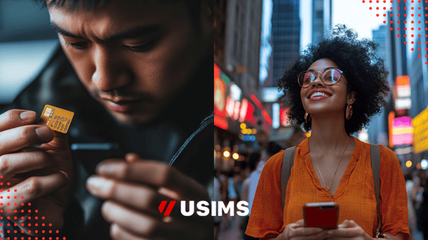 Behind the Innovation of USIMS