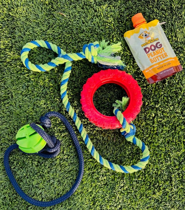 Valentino Pet Paws High Energy Dog Toy Review