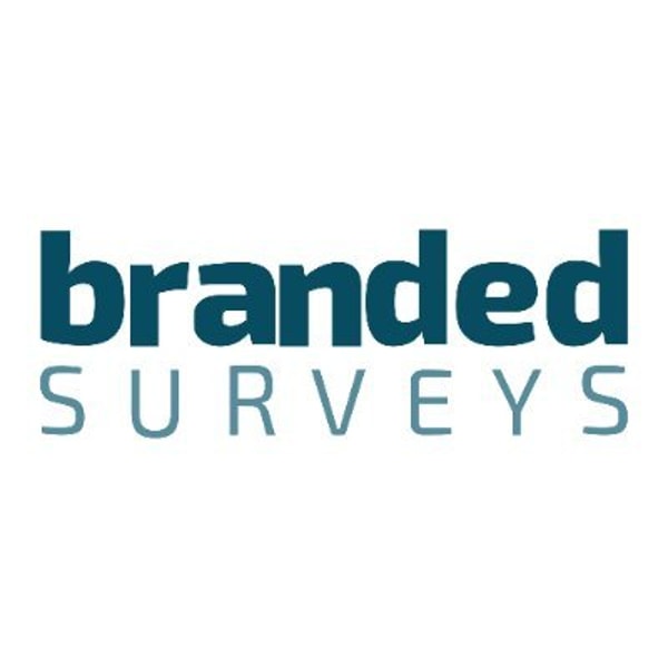 Valued Opinions 與 Branded Surveys 比較