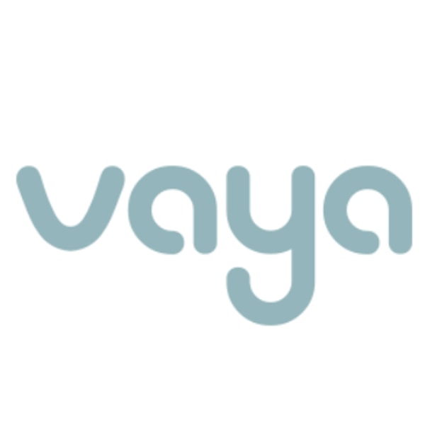 Vaya Sleep Mattress vs Leesa Original