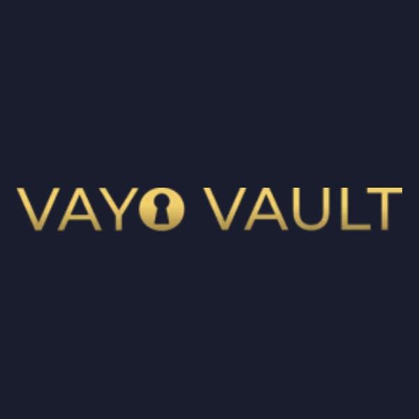 Vayo Vault vs Traditional Travel Clubs
