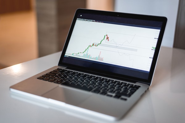 Vector Platform Review
