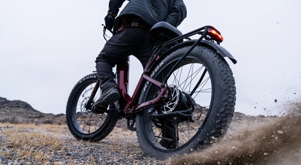 About Velotric Bike