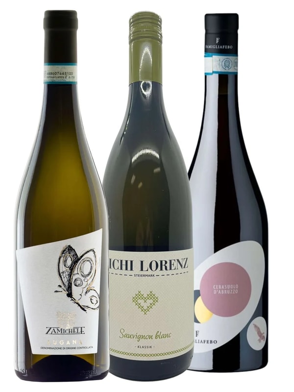 VeroVino Spring Fling Wine Gift Set Review