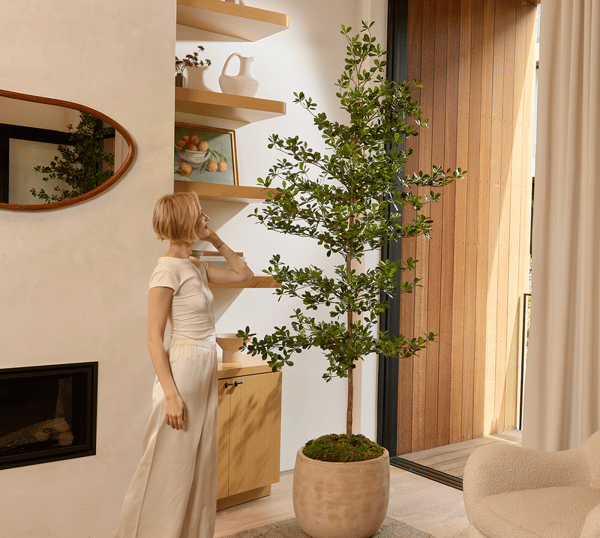 About VERT HOUSE