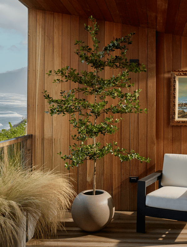 VERT HOUSE Shady Lady Faux Olive Tree 6-7 ft Review