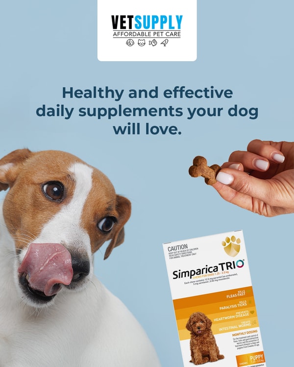 VetSupply Simparica TRIO Review