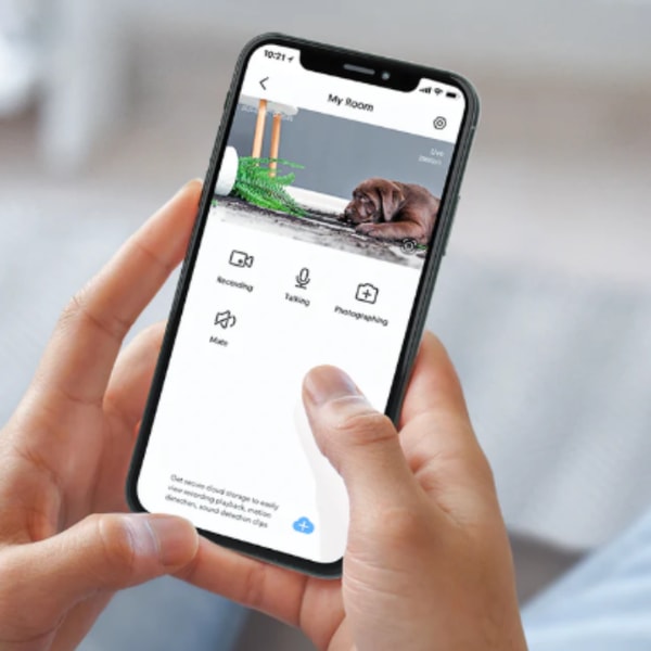 Victure Review