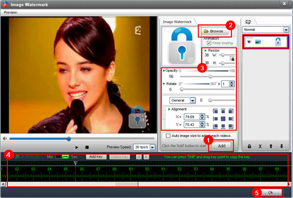 About Video Watermark