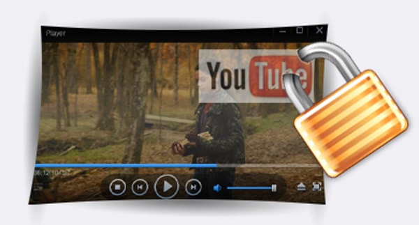 Video Watermark Pro Review