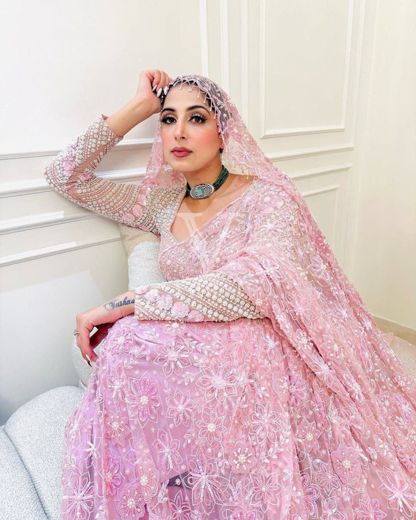 ViDesi Heba Butterfly Net Saree Review