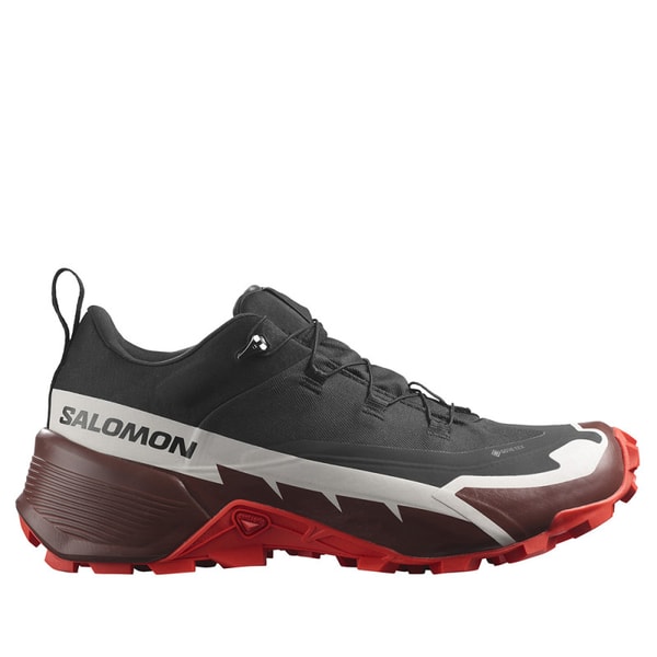 Viglietti Sport Salomon CROSS HIKE 2 GTX Recensione