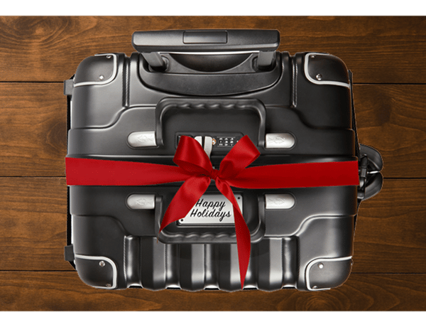 VinGardeValise Review