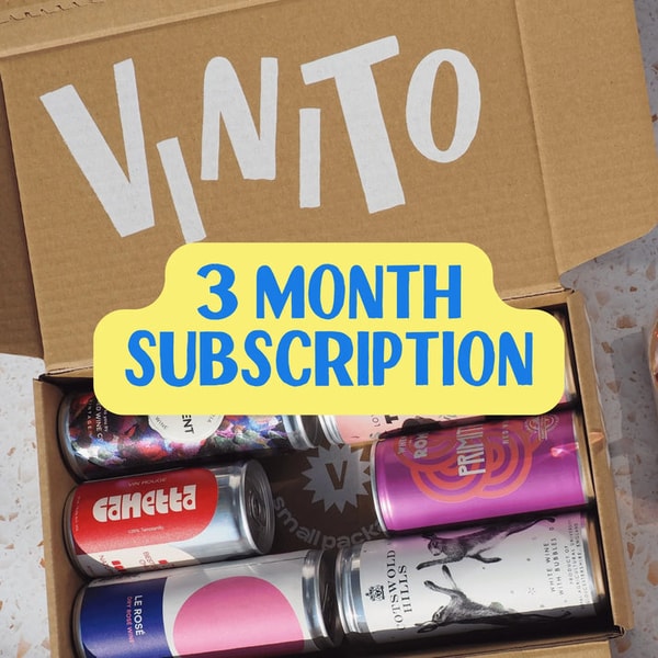 Vinito 3 Month Canned Wine Subscription Gift Review