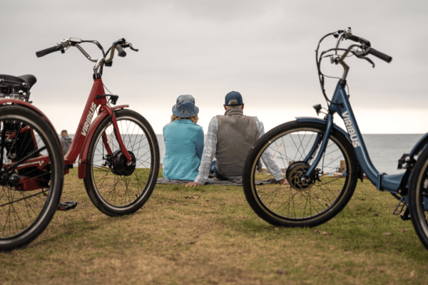 Viribus: Innovation on Wheels