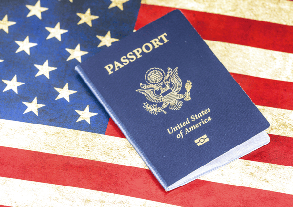 Visagov United States ESTA Review