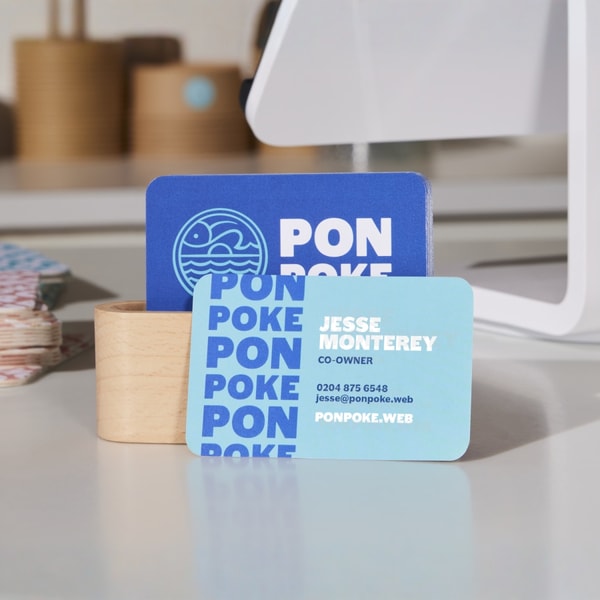 VistaPrint Standard Business Cards Review
