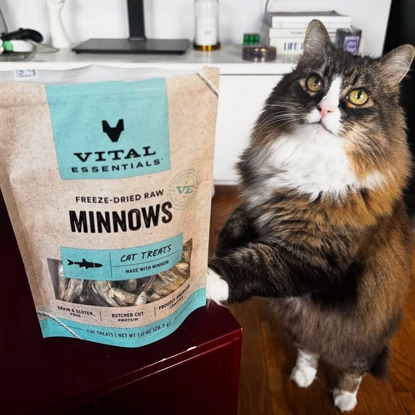 Vital Essentials Review