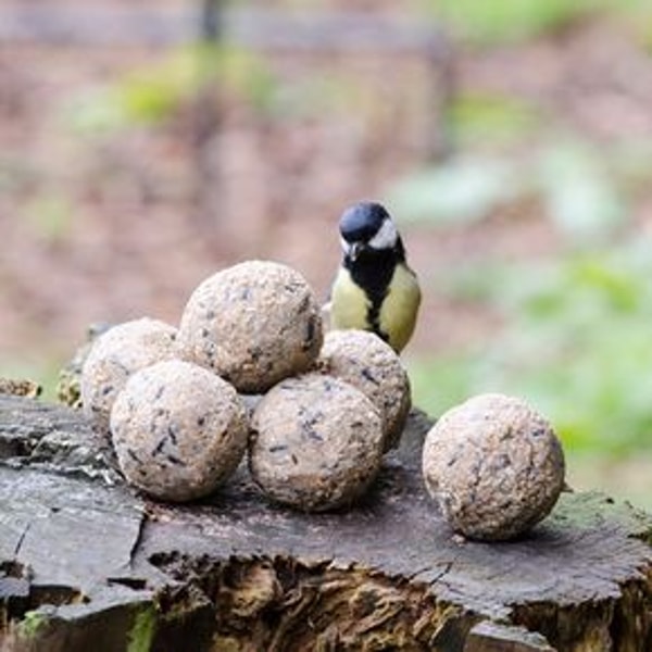 Vivara Boules de graisse originales Avis