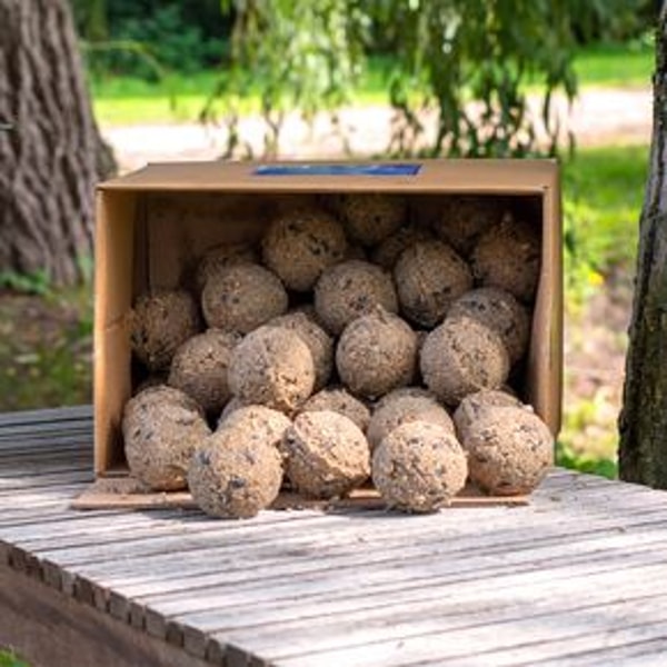 Vivara Boules premium insectes Avis