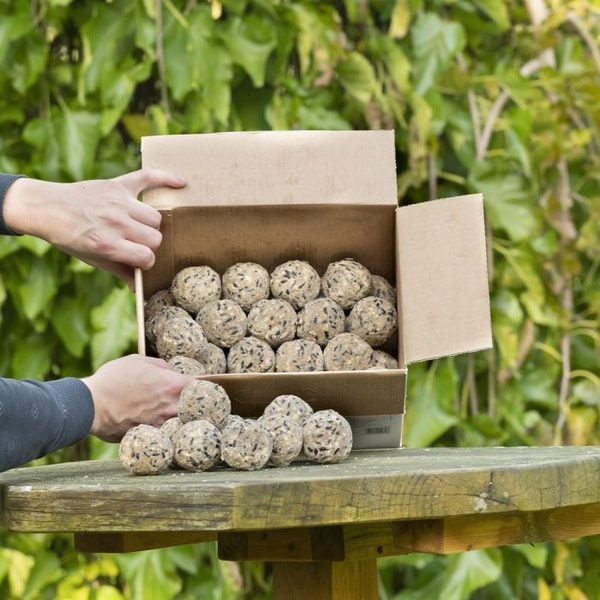 Vivara Premium-Meisenkn&ouml;del mit Mehlw&uuml;rmern, 50 St&uuml;ck im Karton Bewertung