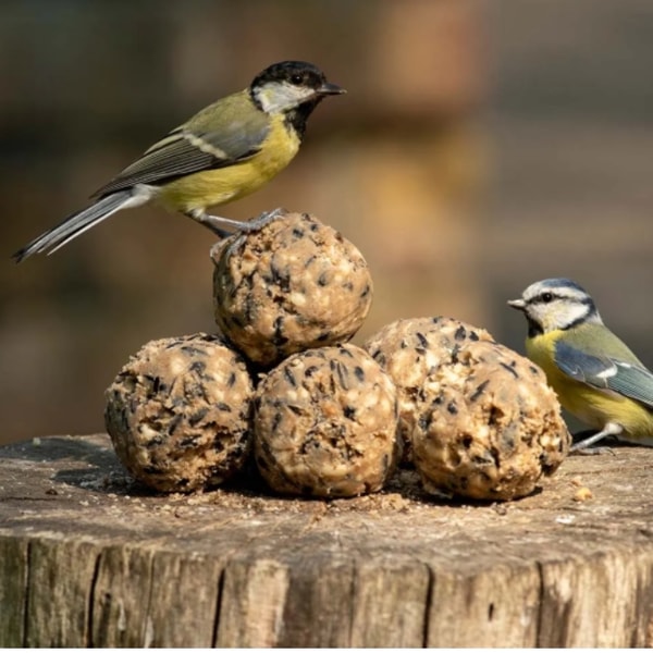 Vivara Boules de graisse supr&ecirc;me Avis
