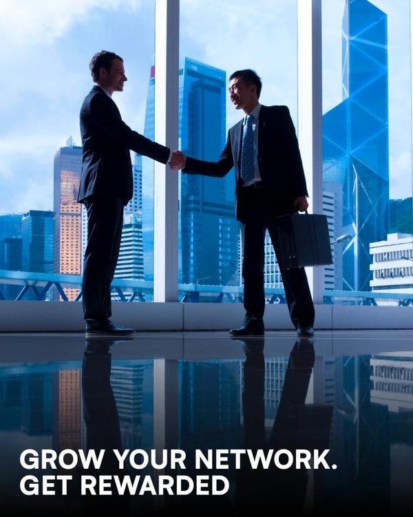 Vivid Business Plan Review