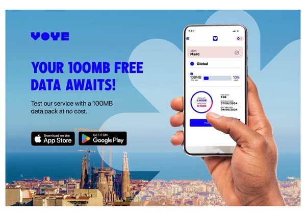 About Voye Global