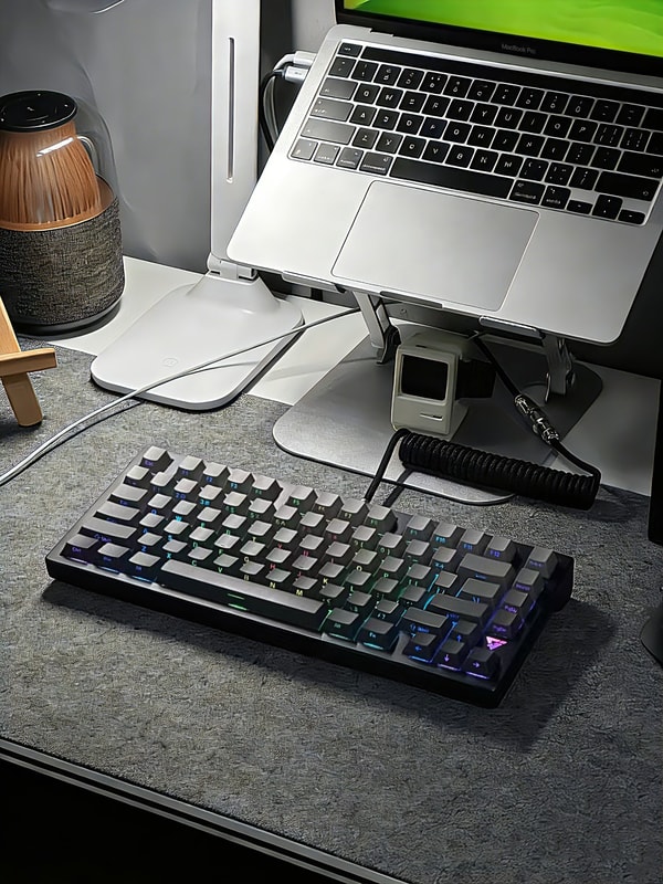 VXE Studio Review