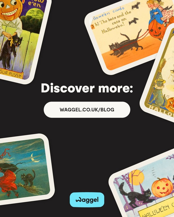Waggel Review